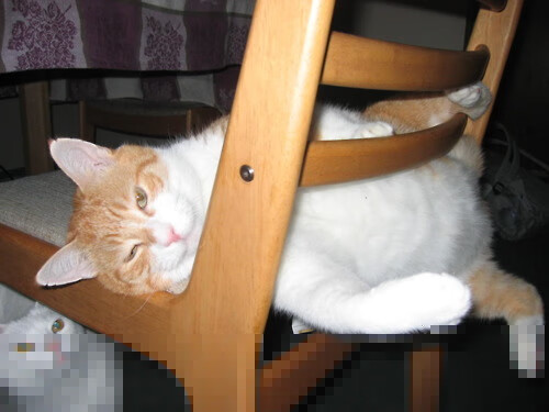 爱游戏网址登录-APEX英雄 俱乐部积极培养新人,apex俱乐部成员等级