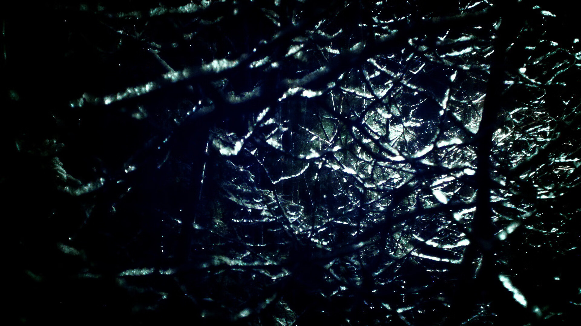 爱游戏登录入口-_街头滑板争霸赛：年轻人运动潮流引领者_，滑板 街头