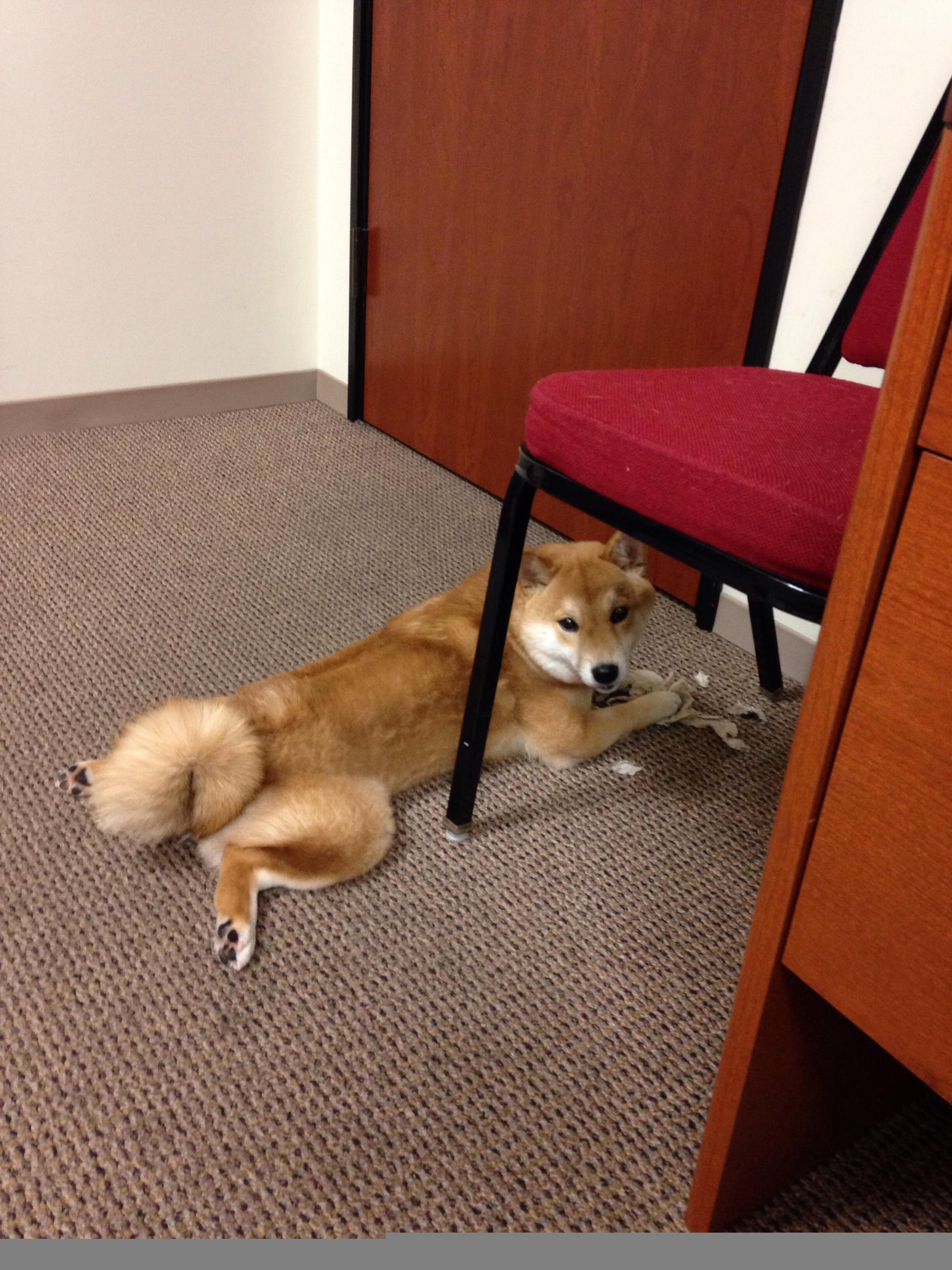 AYX体育官网-伊朗男足在巴黎奥运会比赛中以2-0战胜西班牙,伊朗男足最好成绩