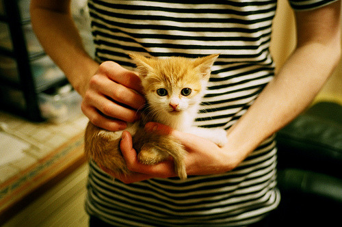 爱游戏电竞官网-保守与激进:不同策略下的赛场对决,激进和保守怎么区分